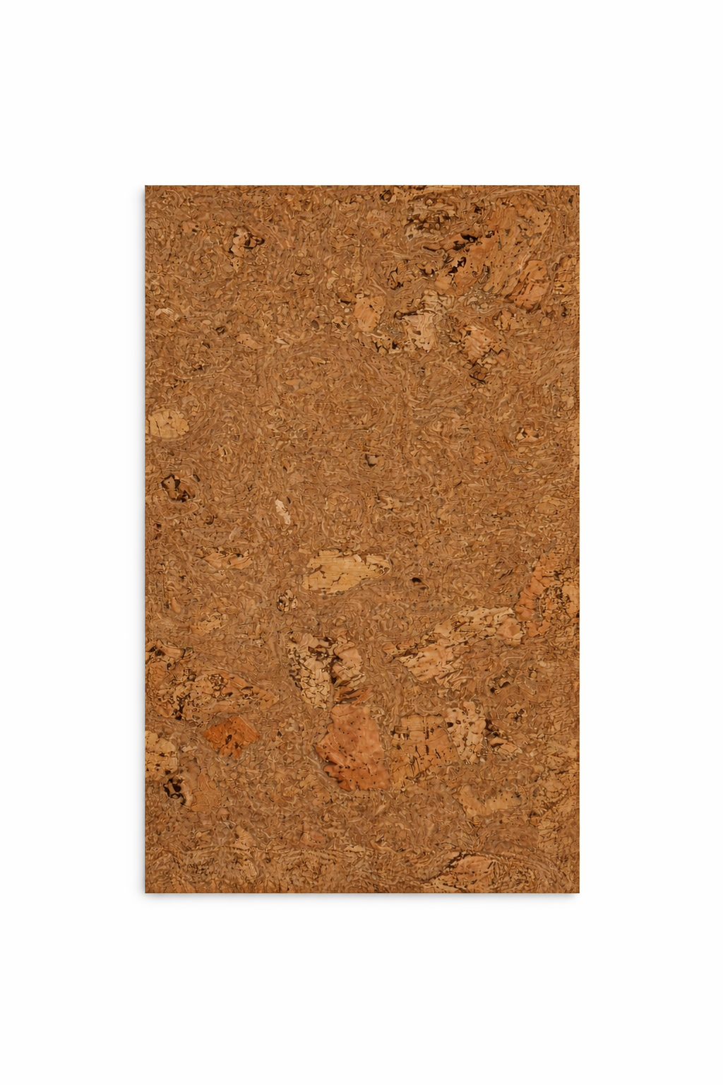 ChatGPT Image Jan 11, 2026, 07_39_02 AM