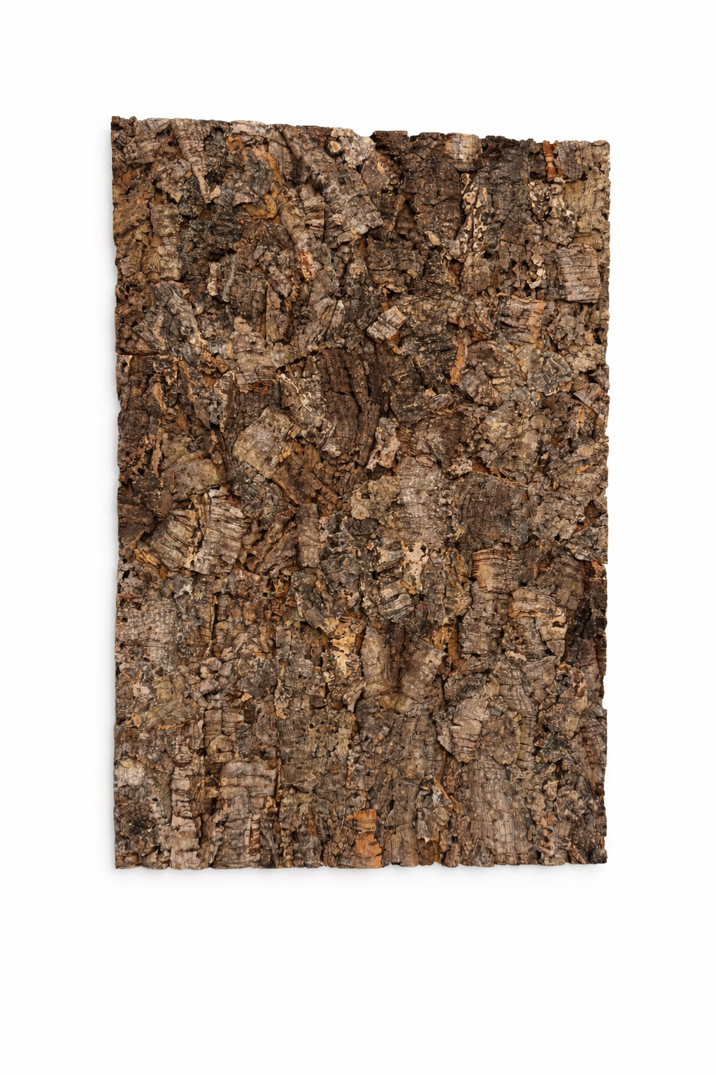 ChatGPT Image Jan 8, 2026, 09_14_23 AM